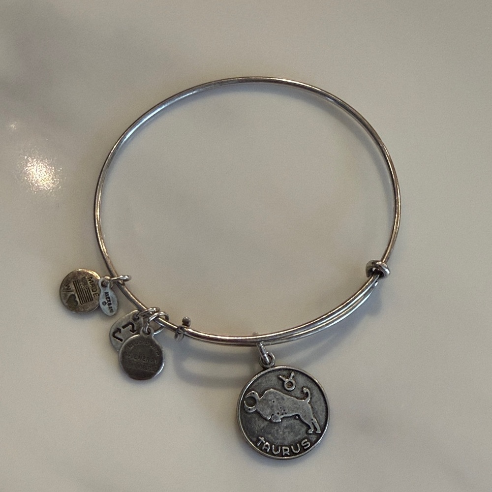 Alex and Ani Silver Taurus Charm Bangle Bracelet 2013